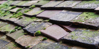 Silverdale roof repair costs